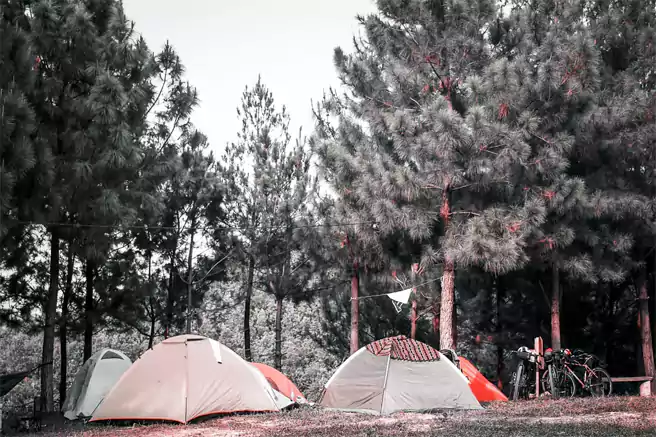 Tempat Camping Di Cirebon Buper Pasir Parat