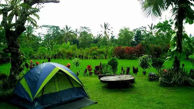 Tempat Camping Di Gianyar Sekar Bumi Tropical Farm