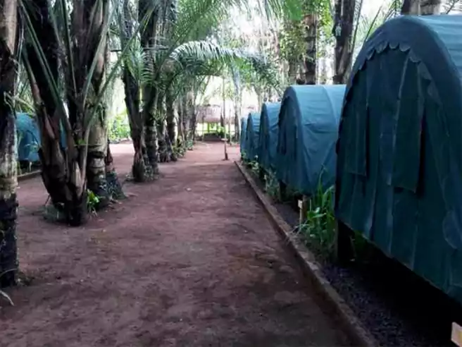 Tempat Camping Di Gianyar Tegal Dukuh Camp Taro Bali
