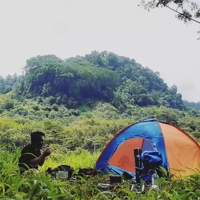 Tempat Camping Di Jember Agrowisata Gunung Pasang Jember