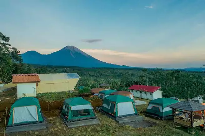 Tempat Camping Di Lumajang Bumi Perkemahan Glagah Arum