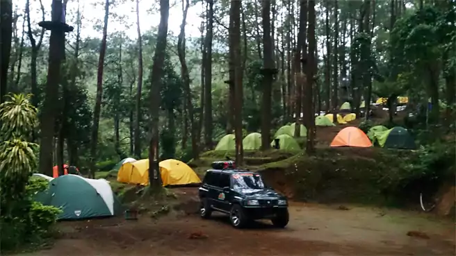 Tempat Camping Di Magetan Kampoeng Pinus Sarangan
