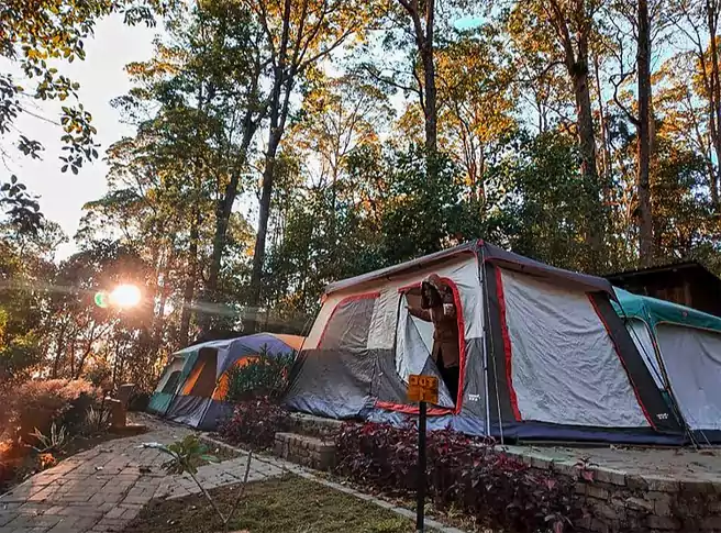 Tempat Camping Di Magetan Mojosemi Forest Park