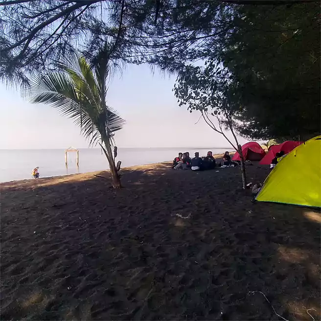 Tempat Camping Di Probolinggo Pantai Duta