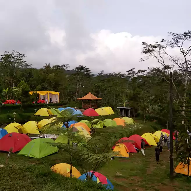 Tempat Camping Di Purbalingga Camp Area Umbul Bengkok