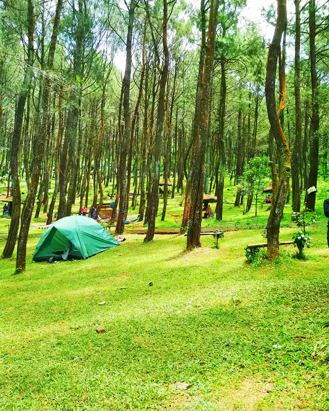 Tempat Camping Di Purwakarta Ujung Aspal Pasirmuncang