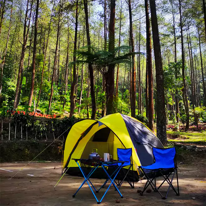 Tempat Camping Di Sekitar Tawangmangu Campgrounds Sekipan