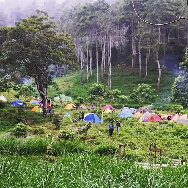 Tempat Camping Di Sumedang Baru Beureum Camp And Track Mt Manglayang