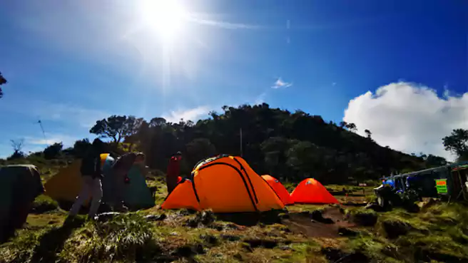 Tempat Camping Di Tawangmangu Cemoro Kandang