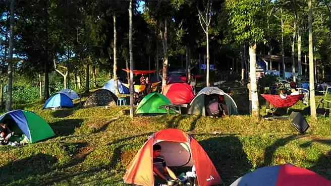 Tempat Camping Di Temanggung Sidempul Camping Ground Bansari