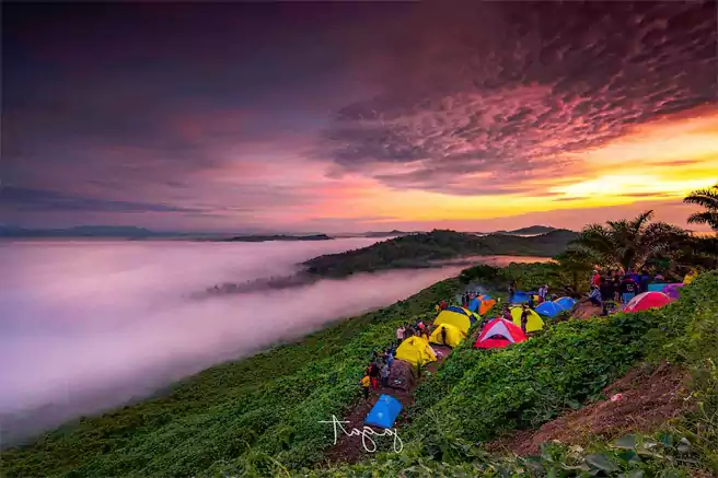 Tempat Camping Di Indonesia Gunung Embun