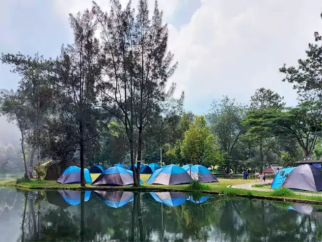 Tempat Camping Di Indonesia Mandalawangi Cibodas Camping Ground