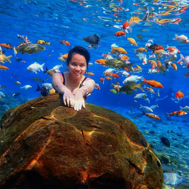 Umbul Ponggok Foto Underwater Bareng Ikan Warna Warni