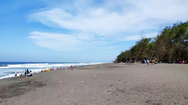 Sekilas Tentang Keindahan Pantai Goa Cemara Bantul Daerah Istimewa Yogyakarta