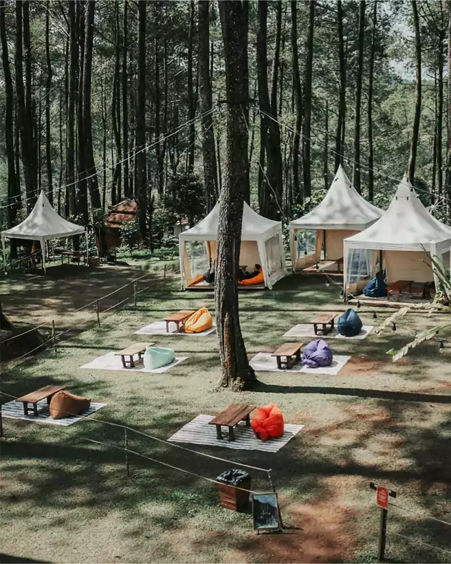 Spot Camping Ground Di Orchid Forest Cikole