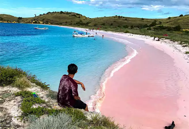 Spot Foto Cantik Di Tebing Pantai Pink