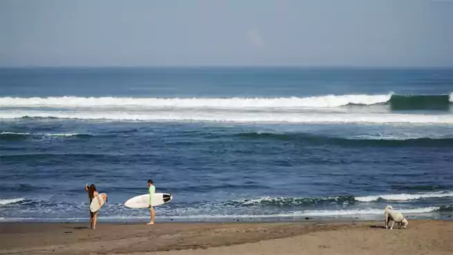 Spot Surfing Di Pantai Kedungu