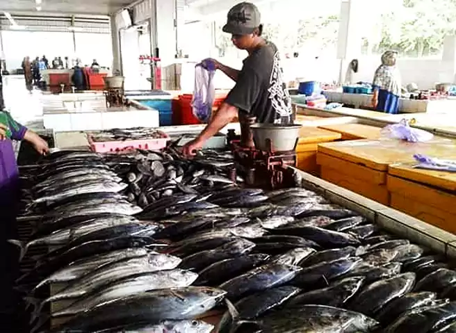 Pelelangan Ikan Di Pantai Sendangbiru