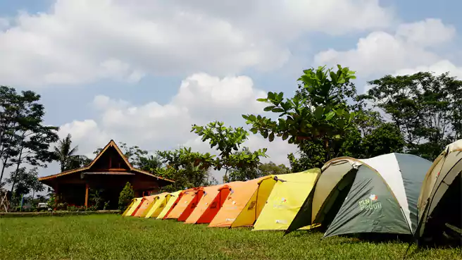 Tempat Camping Di Batang Desa Wisata Pandansari