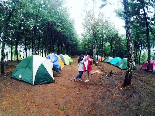 Tempat Camping Di Batang Wisata Puncak Patran