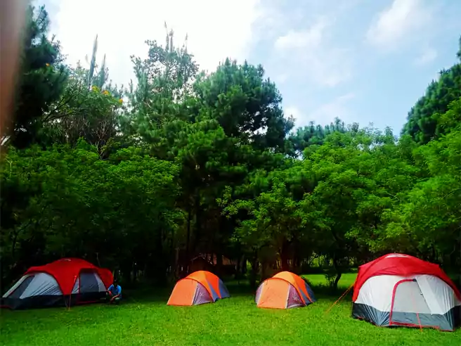 Tempat Camping Di Sekitar Surabaya Air Terjun Coban Rondo Pujon
