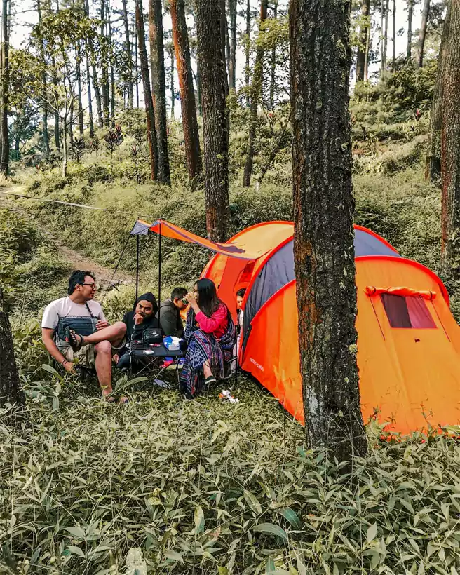 Tempat Camping Di Sekitar Surabaya Kakek Bodo Campground