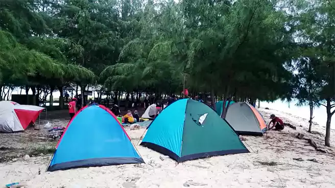 Tempat Camping Di Sekitar Surabaya Pulau Bawean