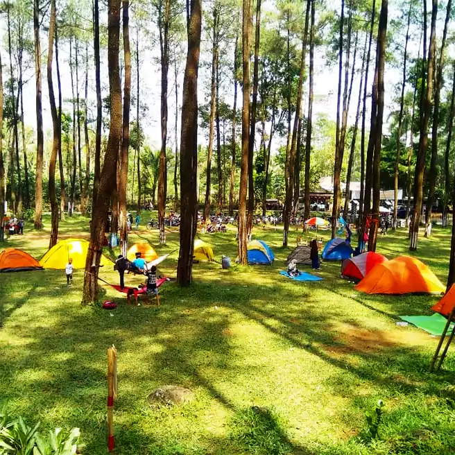 Tempat Camping Di Tegal Bukit Gambangan Camping Ground