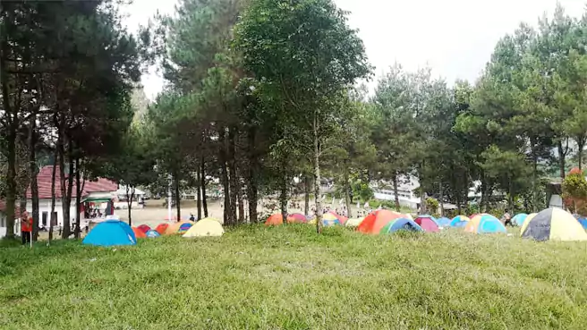 Tempat Camping Di Tegal Bumi Perkemahan Martoloyo Desa Suniarsih