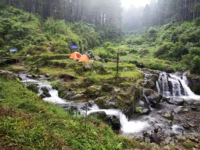 Tempat Camping Di Tegal Permadi Jungle Camp Ground