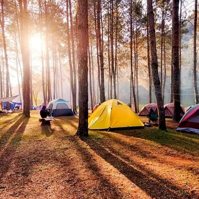 Tempat Camping Di Tegal Villa Guci Forest