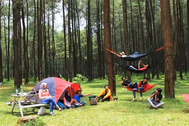 Tempat Camping Di Tegal Wana Wisata Prabanlintang Danasari