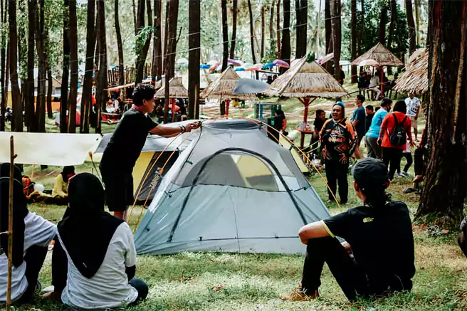 Tempat Camping Di Gorontalo Hutan Pinus Motilango