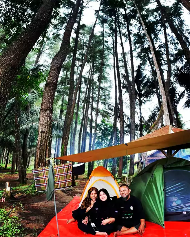 Tempat Camping Di Gorontalo Puncak Hutan Pinus Dulamayo