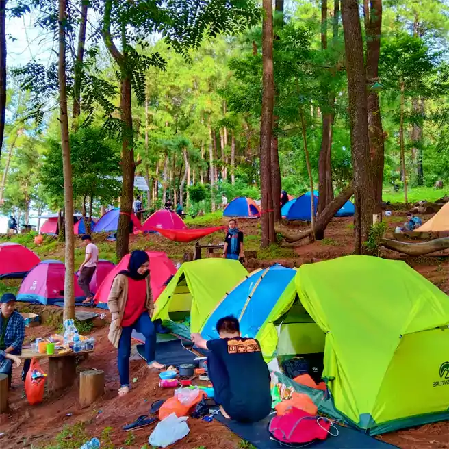 Tempat Camping Di Gowa Hutan Pinus Rita Malompoa Bissoloro