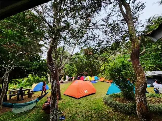 Tempat Camping Di Lampung Barat Bukit Cendana Harapan Jaya
