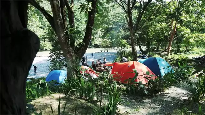 Tempat Camping Di Langkat Tangkahan Cru