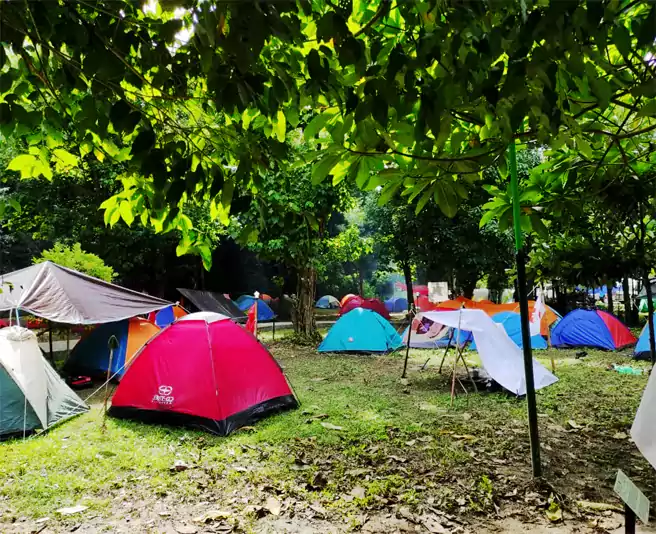 Tempat Camping Di Lombok Tengah Tunak Camping Site