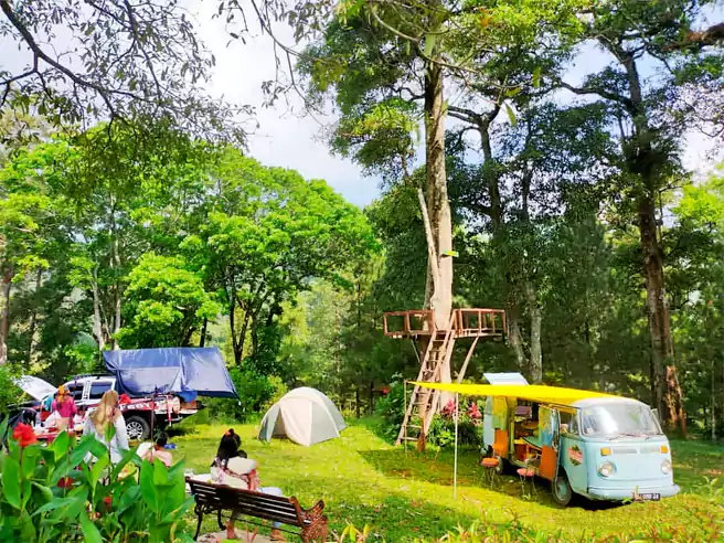 Tempat Camping Di Madiun Gligi Forest Park