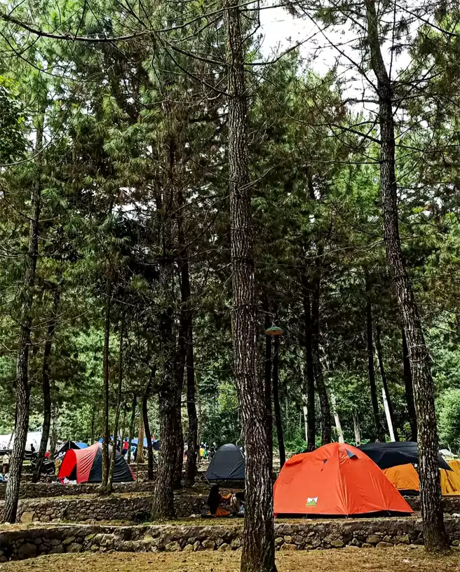 Area Camping Ground Curug Cipamingkis