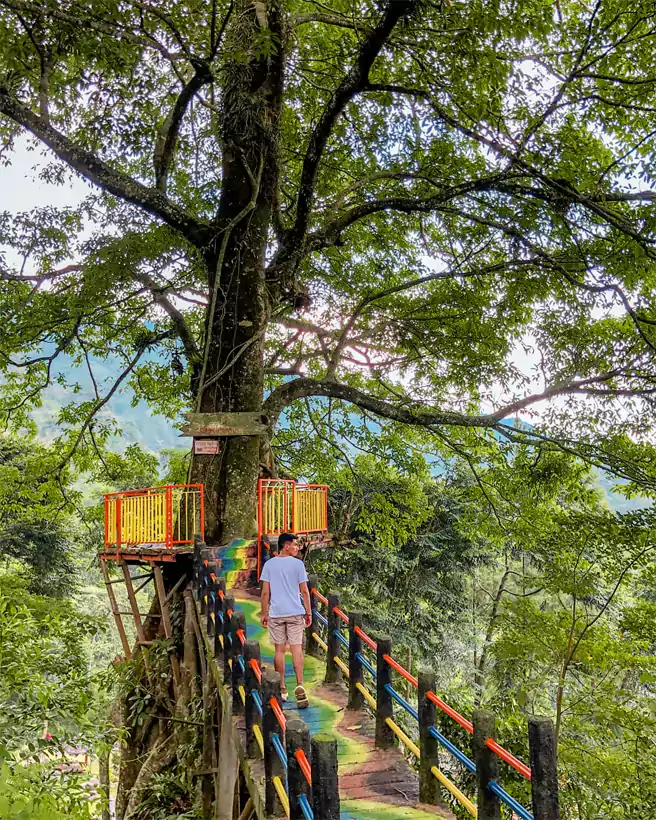 Keindahan Rumah Pohon Di Curug Cipamingkis Bogor