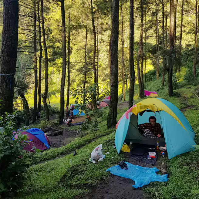 Spot Camping Cantik Di Bumi Perkemahan Dlundung