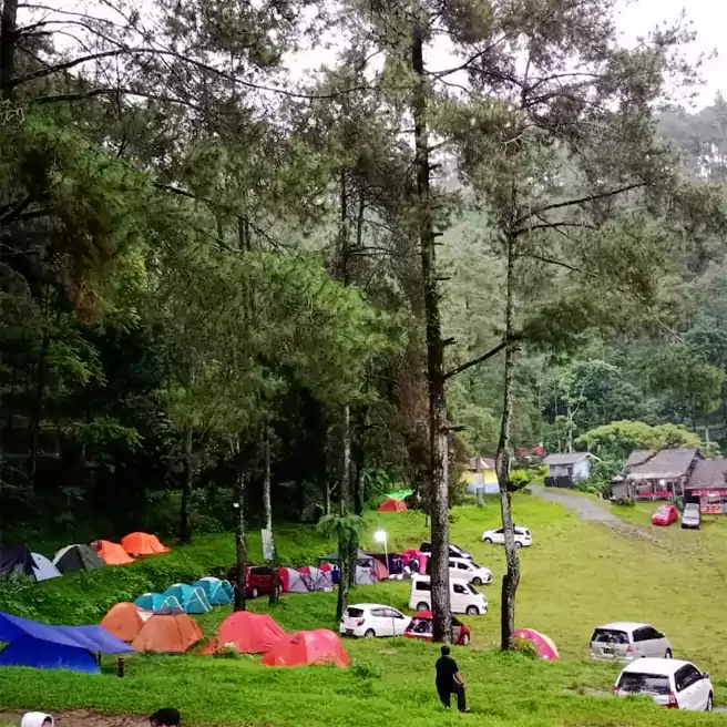 Spot Camping Di Bumi Perkemahan Dlundung Mojokerto Jawa Timur