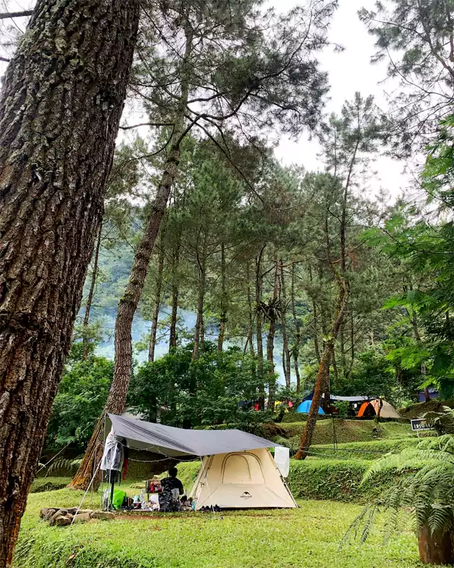 Tempat Camping Di Sekitar Depok Highland Camp