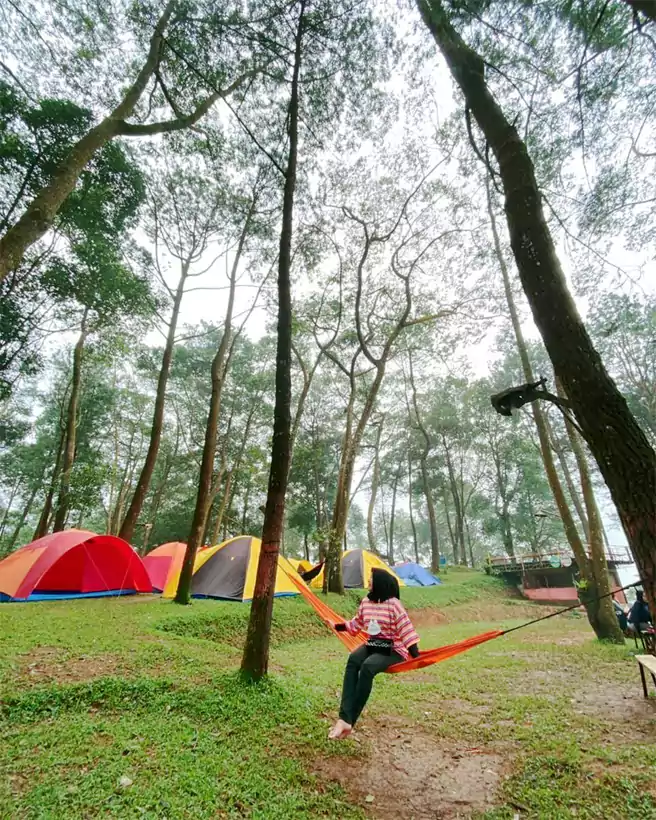 Menikmati Kesejukan Udara Pagi Di Puncak Langit Camping Ground Bogor