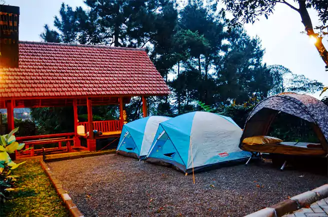 Spot Camping Asyik Di Pondok Rasamala Bogor Jawa Barat