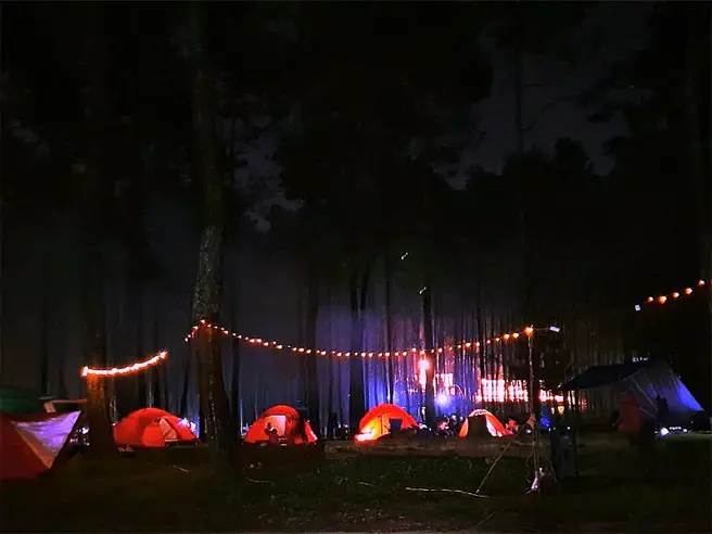 Tempat Camping Di Bandung Green Grass Cikole