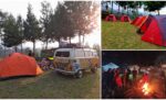Pine Forest Camp: Foto, Lokasi, Harga Tiket [Review Lengkap]