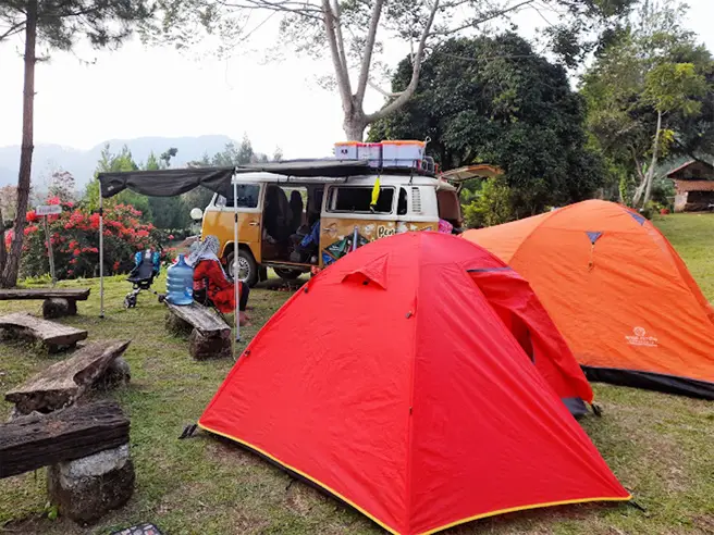 Camping Bandung Pine Forest Camp