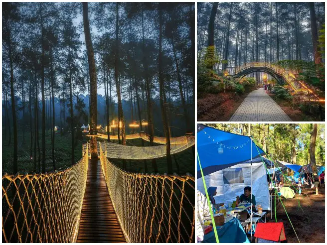 Camping Lembang Orchid Forest Cikole